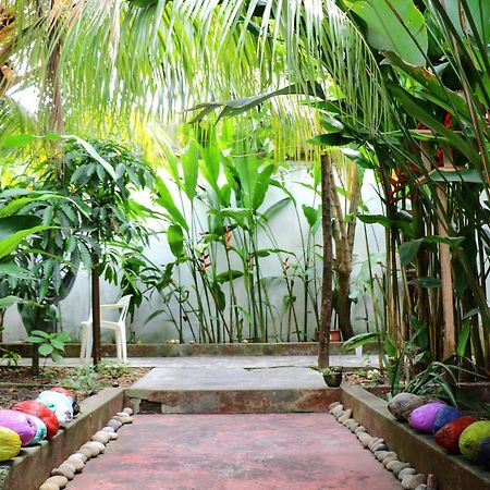 The Amazon Within Hostel Iquitos Kültér fotó